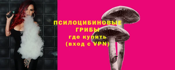 СК Аркадак