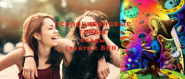 spice Арсеньев